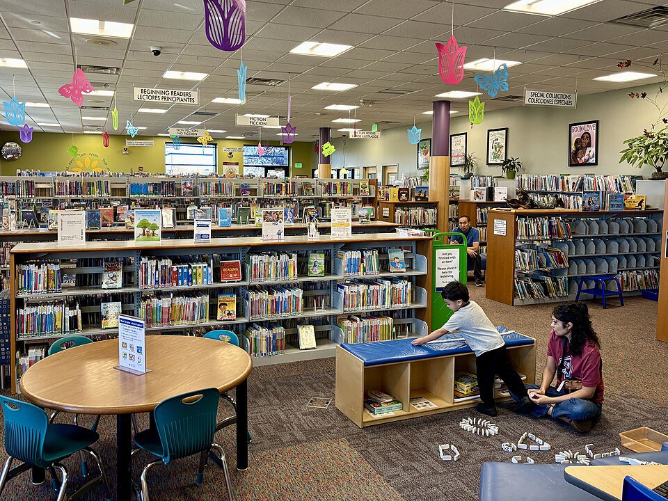 Books arranged on library shelves.