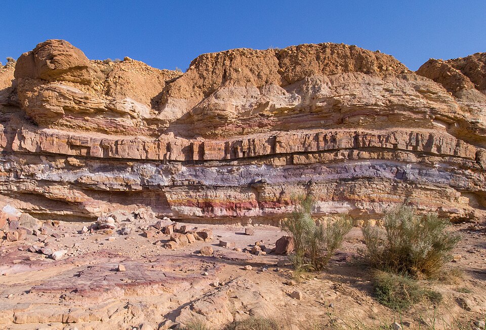 Layers visible in sedimentary rock.