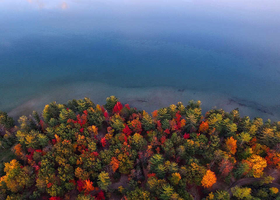 An aerial view of trees with different autumn colors.