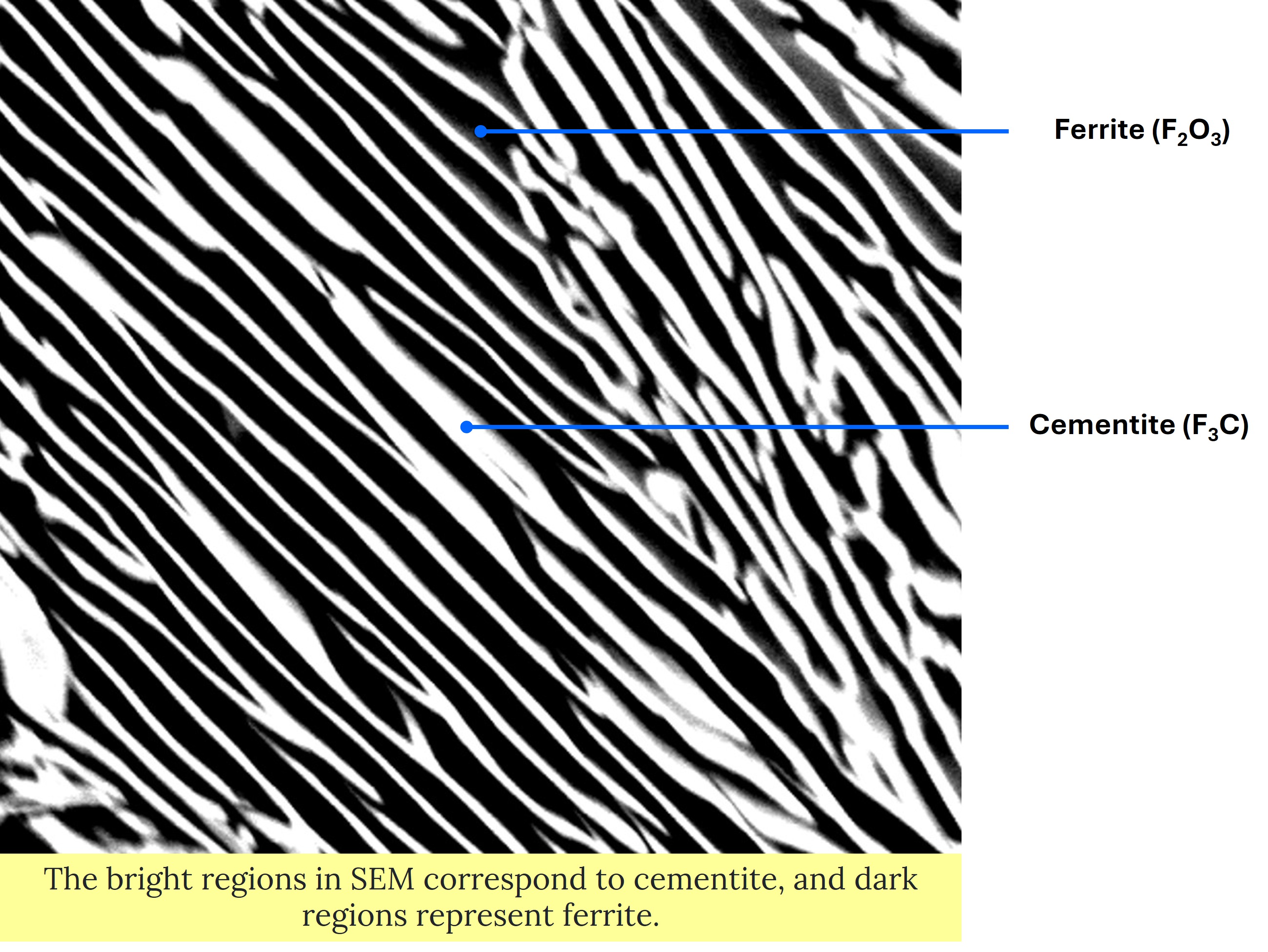 Scanning ELectron micrograph of Pearlite showing 2 phases of ferrite and cementite