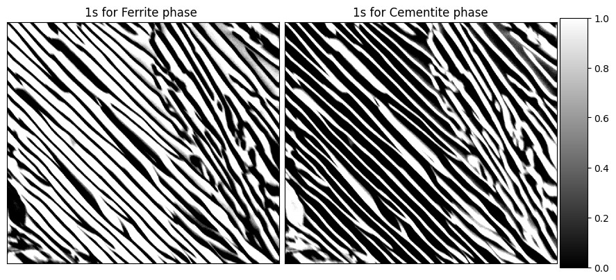 Encoded SEM images of pearlite showing the specific phase as 1s and the rest as 0s.